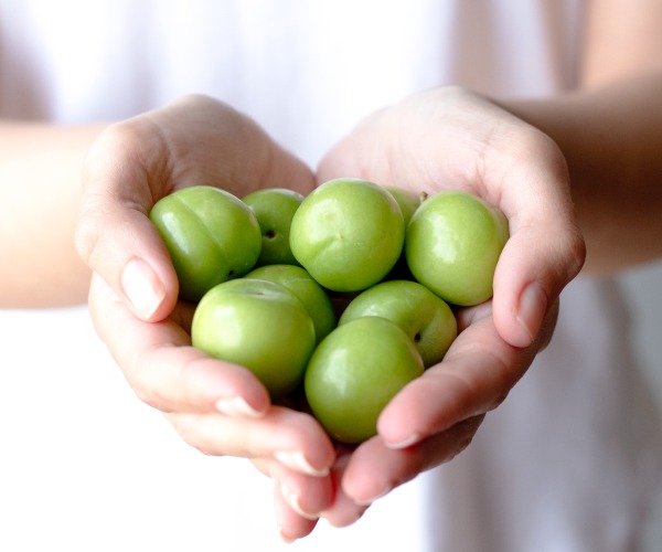 Vitalizing Foods