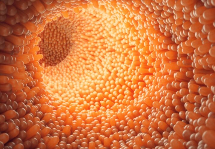 Maintaining Your Gut Health