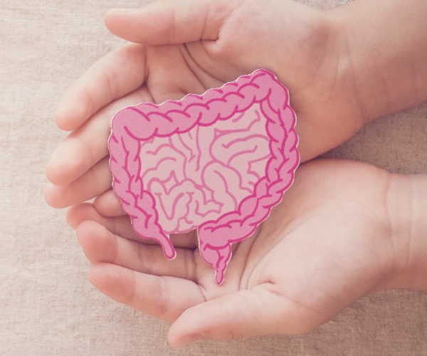 Gut Health