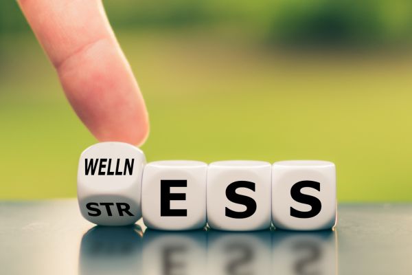 Finger flipping a cube from the word “stress” to “wellness,” symbolizing the shift from chronic stress to nervous system balance.