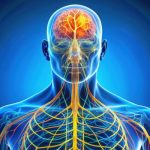 Illustration of the human nervous system highlighting the brain, spinal cord, and branching nerves throughout the upper body, glowing in bright yellow and orange against a blue background.